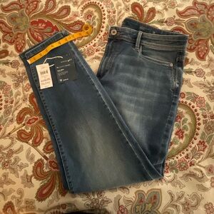 J.Jill Authentic Fit Slim Ankle Jeans, Size 12 in Delray Wash